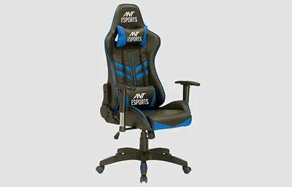 Ant Esports Delta - Best budget gaming chair